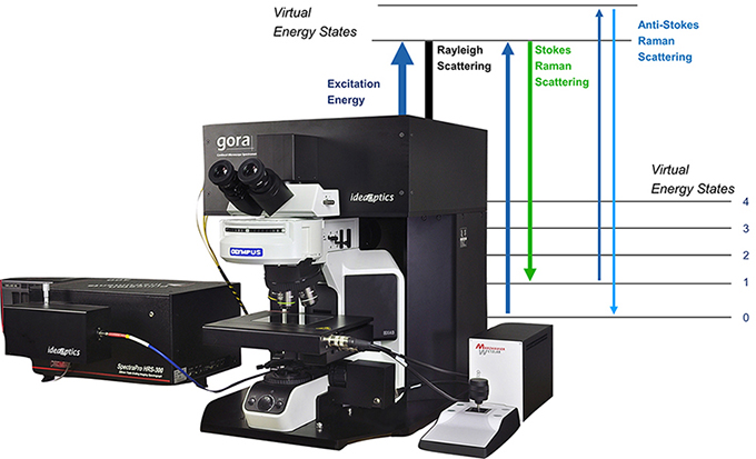 gora 共焦拉曼光谱仪